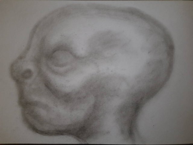 20250824_093259.jpg