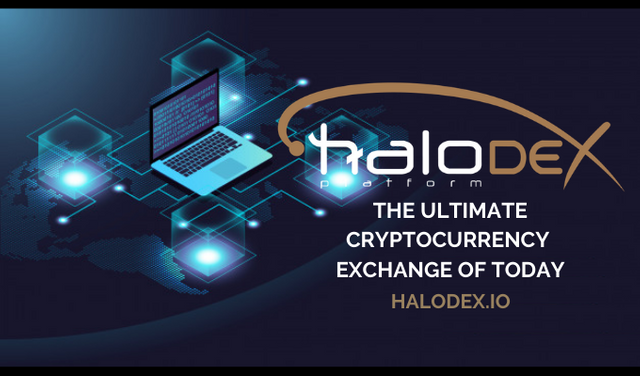 HALO PLATFORM 11 (3).png