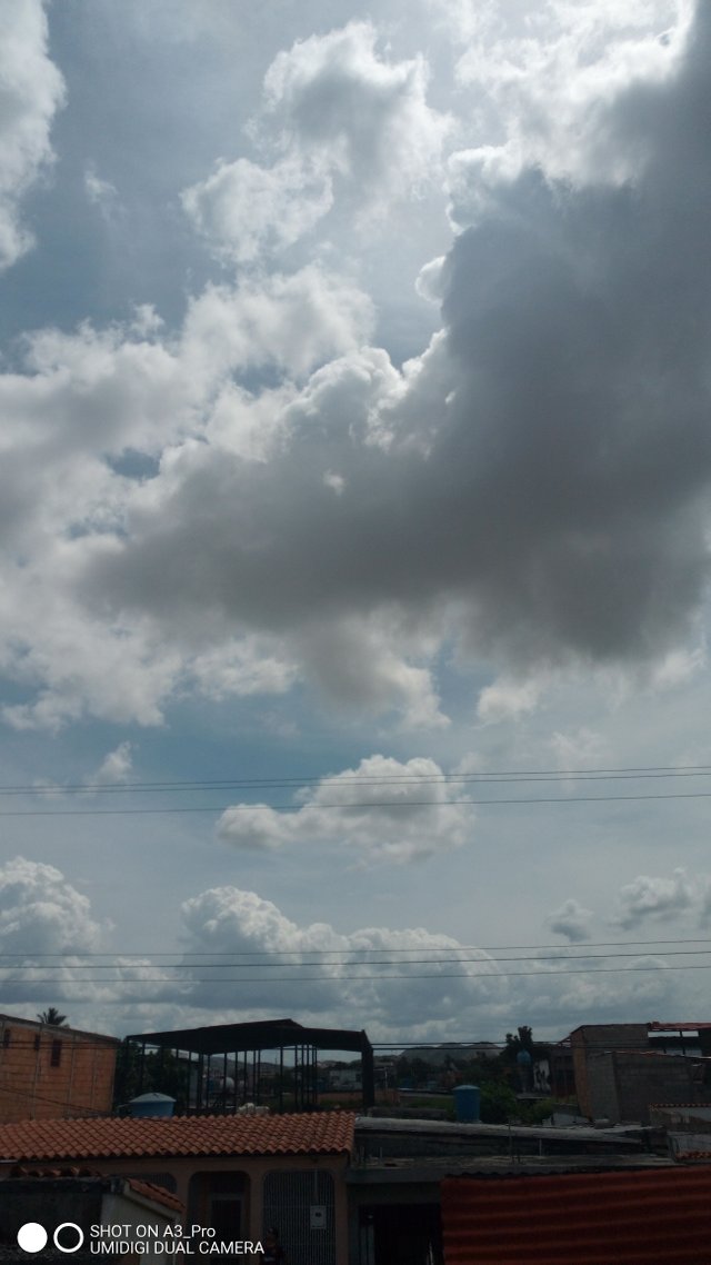IMG_20210604_140840_7.jpg