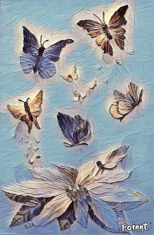 Painnt_Creation_Butterfly Enbroidery.jpg