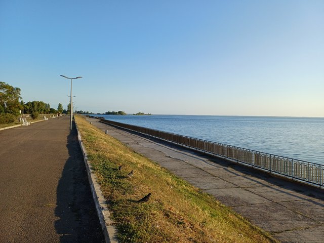 20250813_064650.jpg