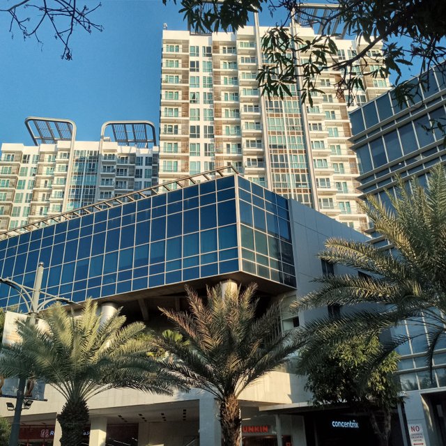 20250424_172232.jpg