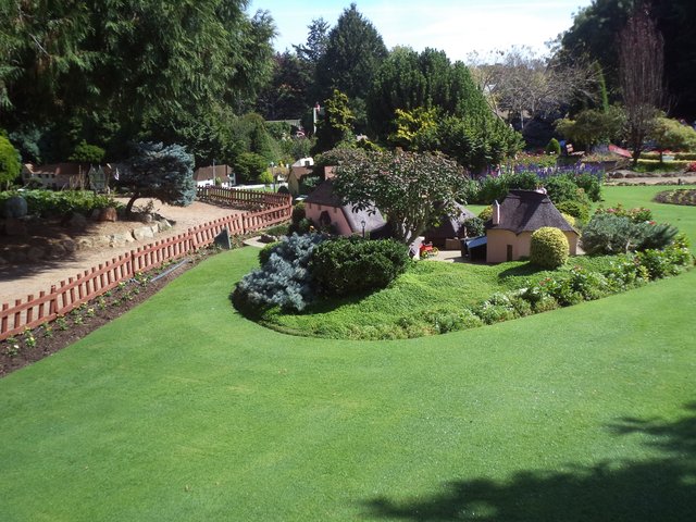 DSC02206.JPG