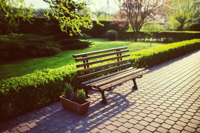 bench-garden-grass-evening.jpg