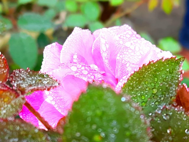 20210113_084045.jpg