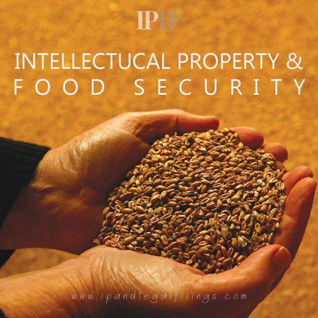 Examining-the-Relationship-between-IPR-and-Food-Security.jpg