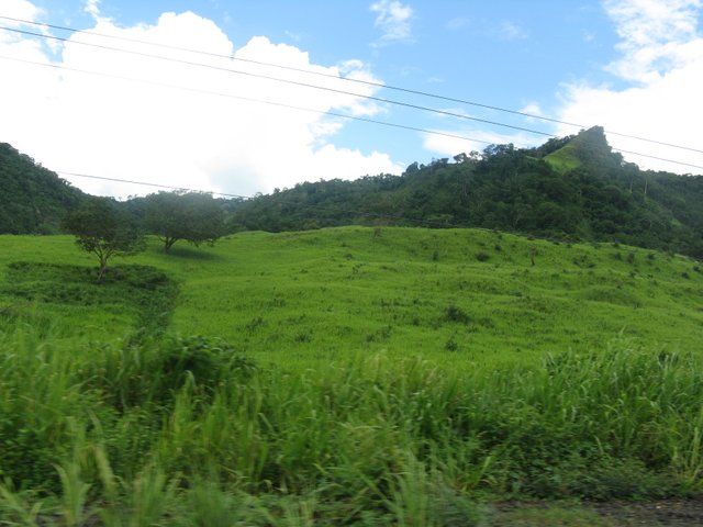 VIAJE ALTAGRACIA DE ORITUCO AGO09 051.jpg