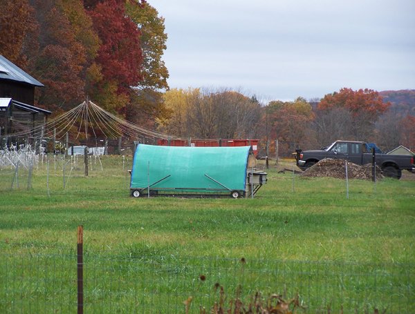 Pasture pen - half done crop October 2019.jpg