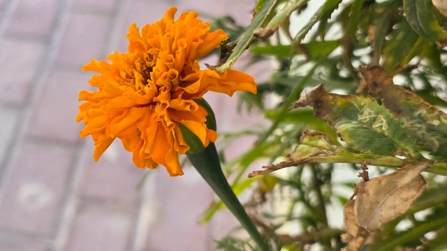 20250330_063816.jpg