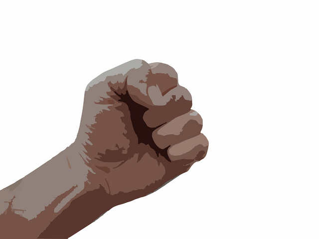 fist-295159_1280.png