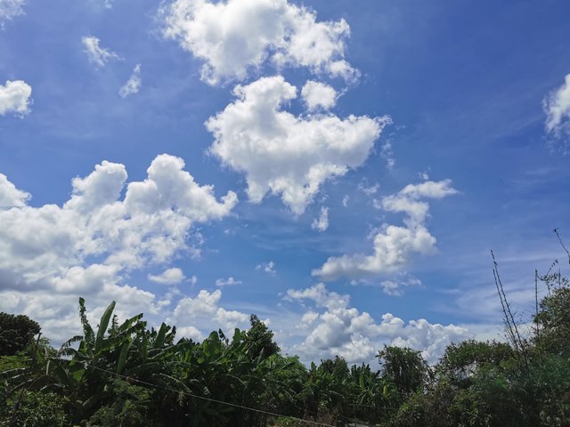 IMG_20240831_125738.jpg