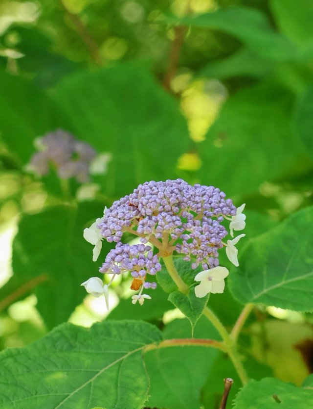 IMG_20250902_202658.jpg