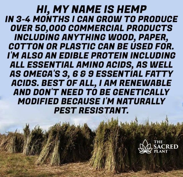 hemp.jpg