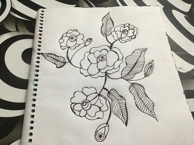 IMG_1286.jpeg