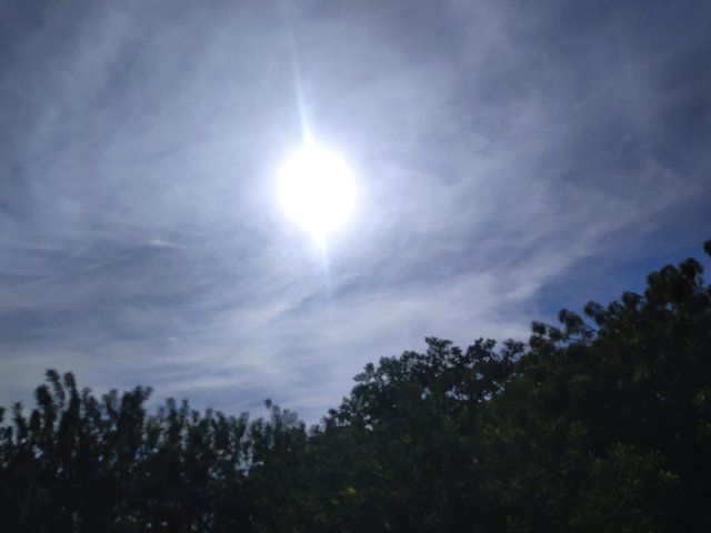 IMG_20250920_155930.jpg