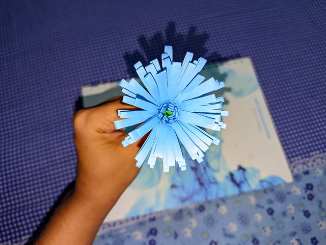 1000011343.jpg