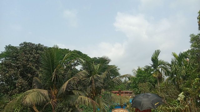 IMG_20250423_185150_670.jpg