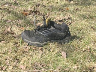 Shoe tale.jpg