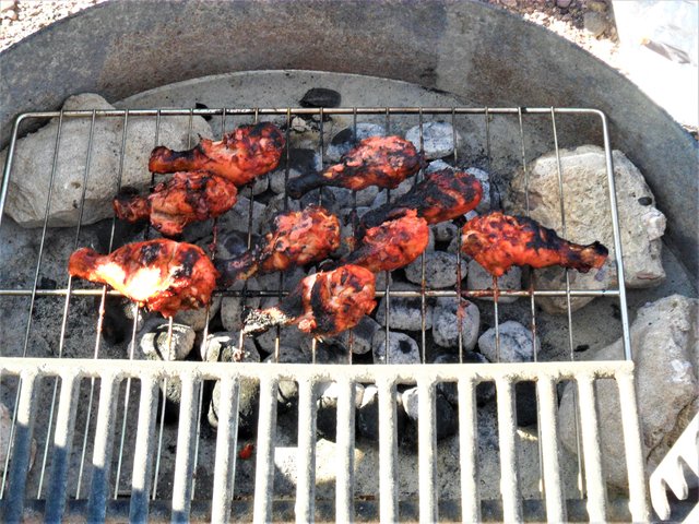 bbq_chicken_elephant_butte_picnic.jpg