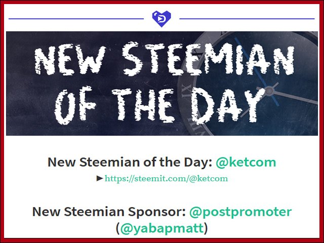 New-steemain-of-the-day-award.jpg