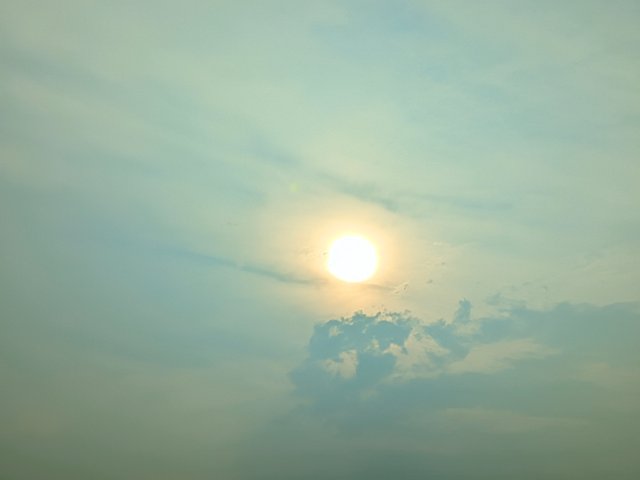 1000047770.jpg