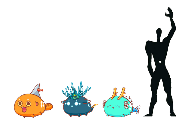 axie_height.png