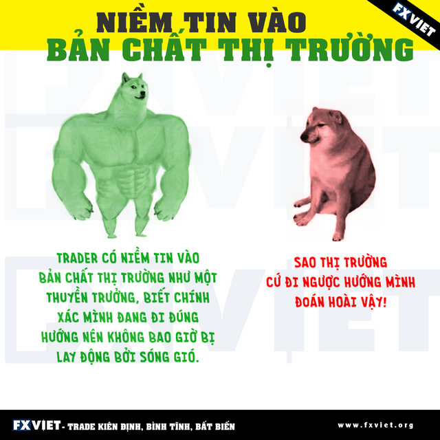 niem-tin-vao-ban-chat-thi-truong - fxviet.png