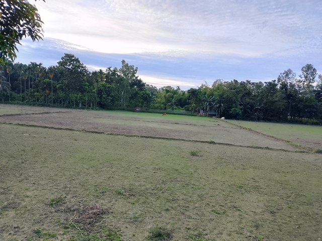 1000043272.jpg