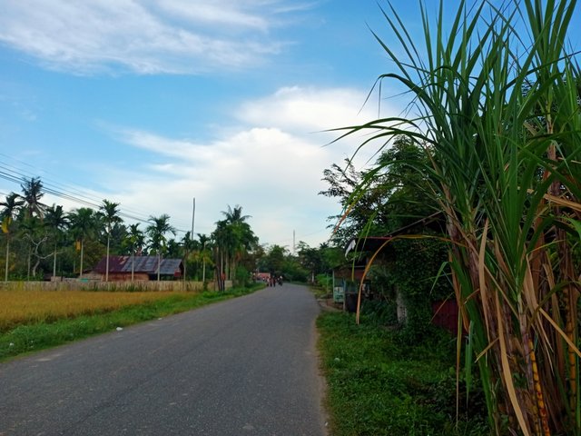 IMG20250919071326.jpg