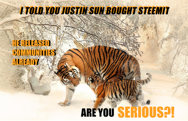 TIGERSUN.png