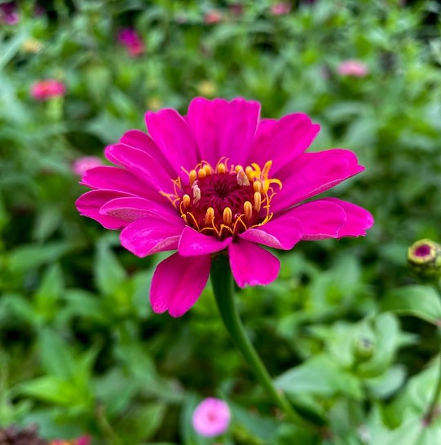 IMG_20250807_203455.jpg