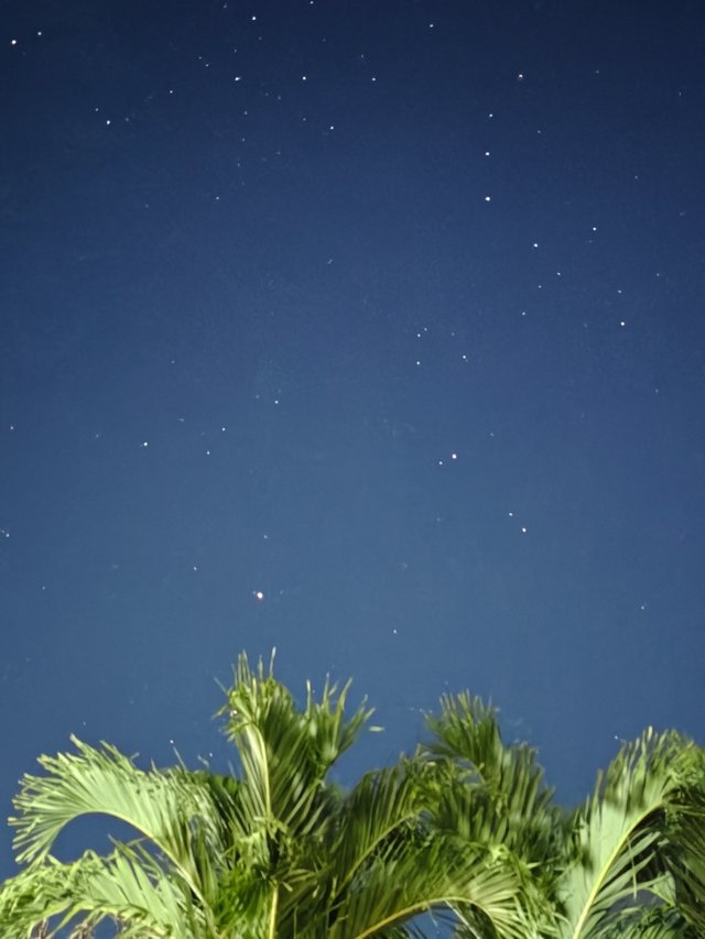1000007797.jpg