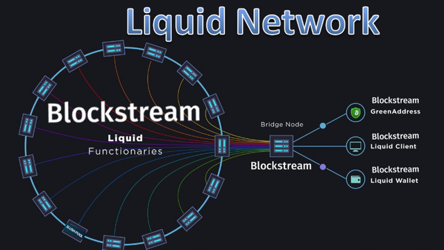 liquid-network.png