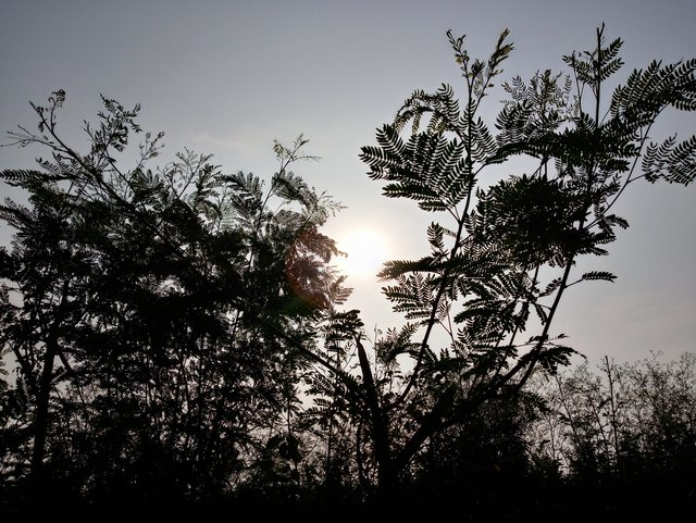 20200614_073935_HDR.jpg