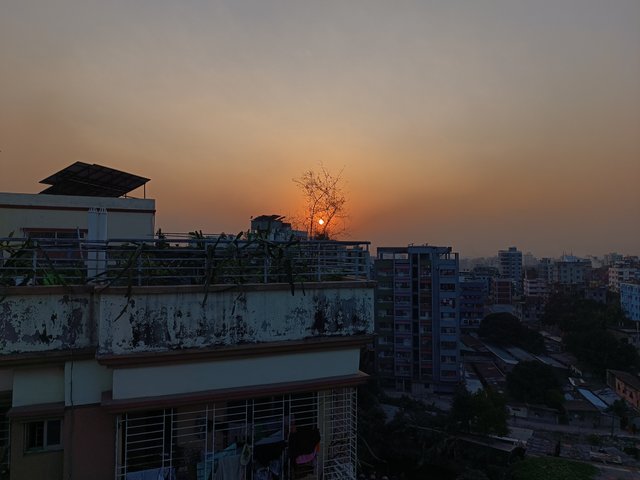 IMG_20250303_174039.jpg