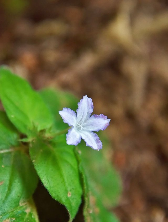 IMG_20250622_083642.jpg