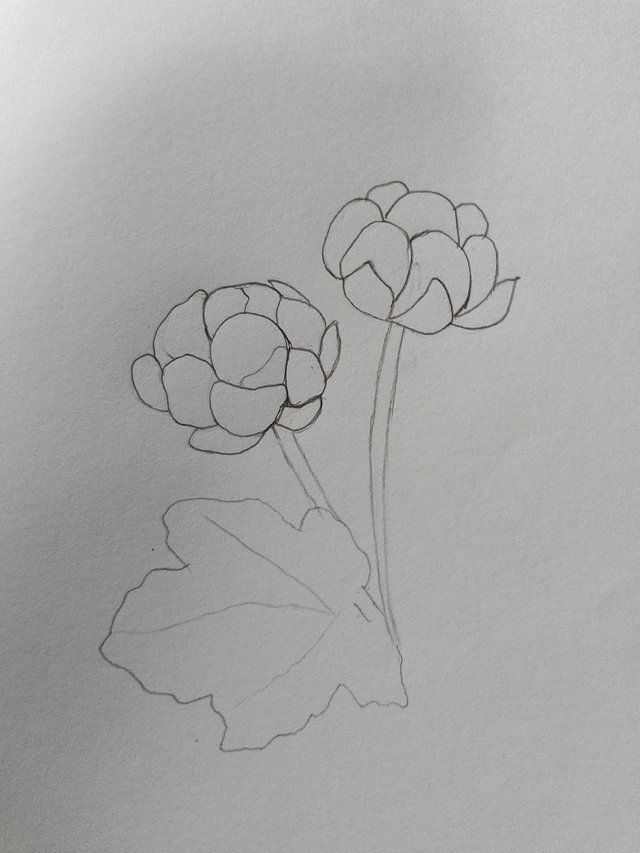 1000054534.jpg