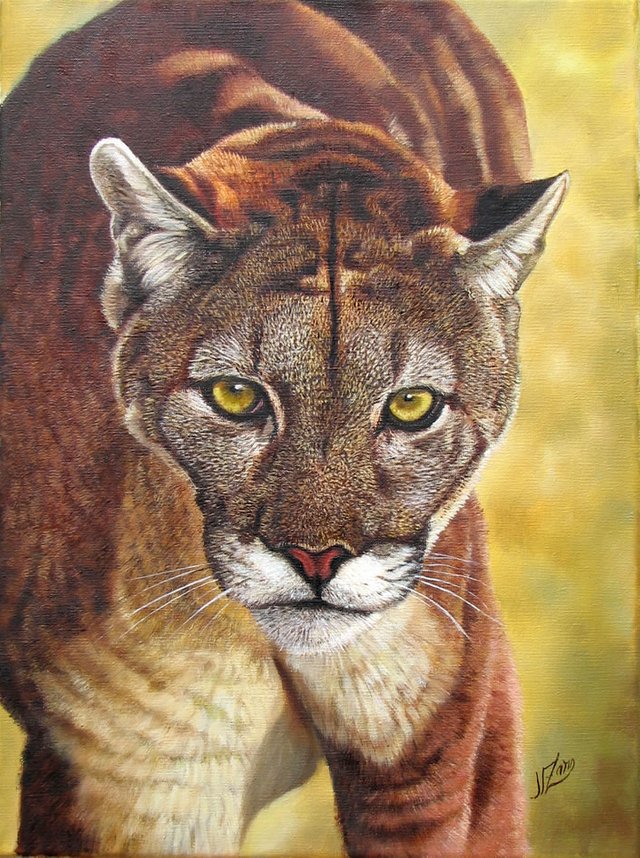 _puma_30x40-2.jpg