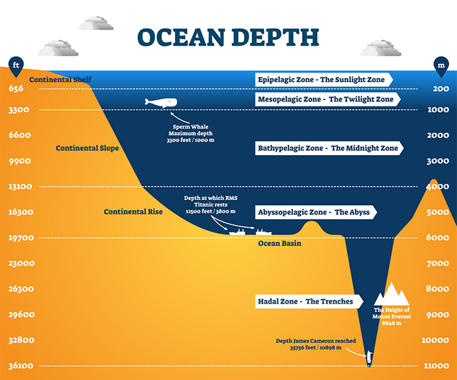 revealing-the-secrets-of-the-mariana-trench-blog-02-2021-body-1.png