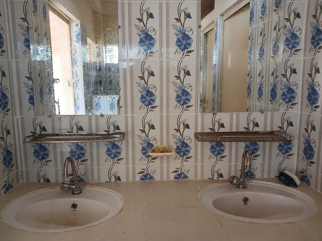 20250506_111729.jpg