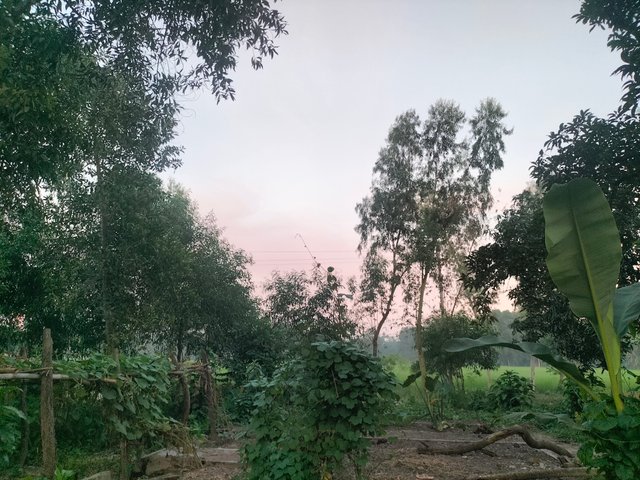 IMG20250928175036.jpg