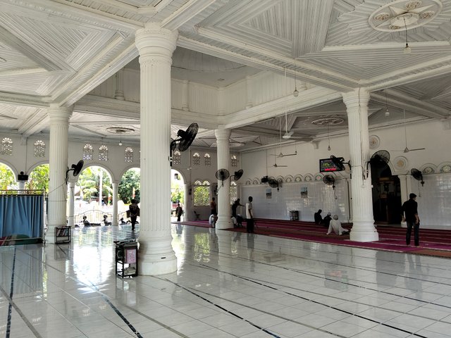 9233.jpg