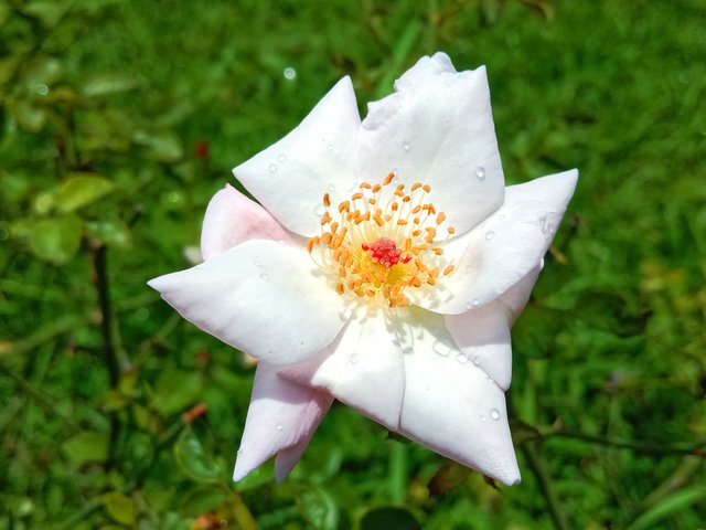 IMG_20250712_210808.jpg