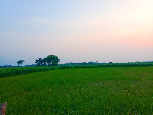 IMG_20250618_063446.jpg