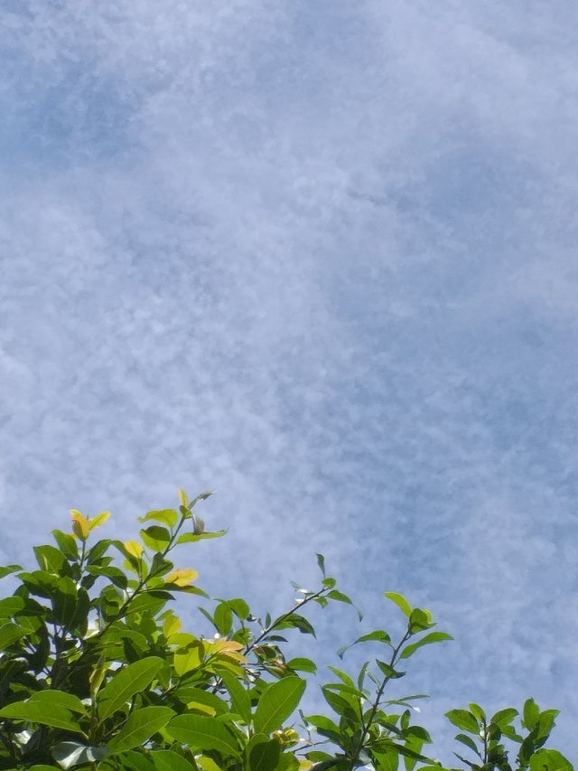 clouds55.jpg
