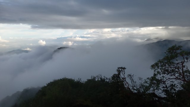 20250910_165721.jpg