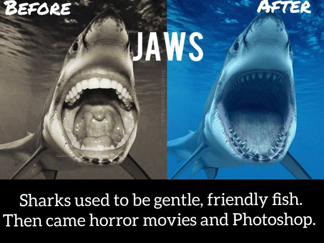 Sharks Before and After Jaws Remil Gresenbach.jpg