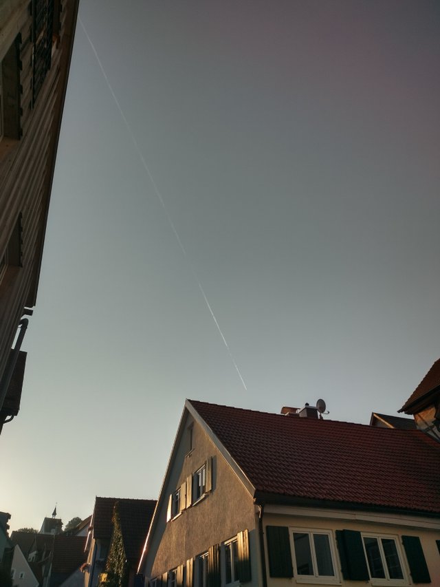 IMG_20250809_071816_HDR.jpg