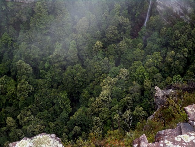 DSC09433.JPG