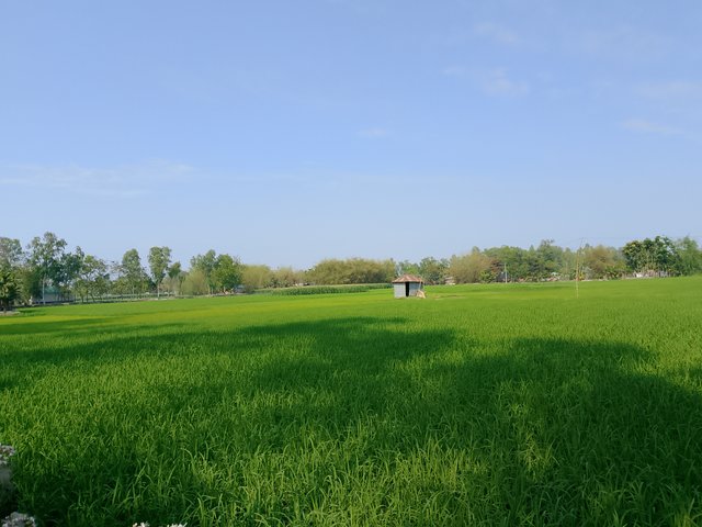 1000032741.jpg